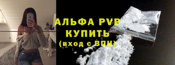 индика Белокуриха