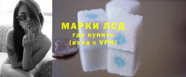 индика Белокуриха