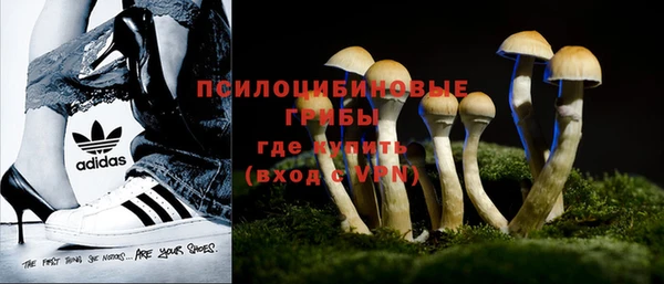 эйфоретик Беломорск