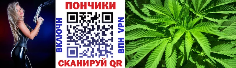 где купить   Олёкминск  Канабис Amnesia 